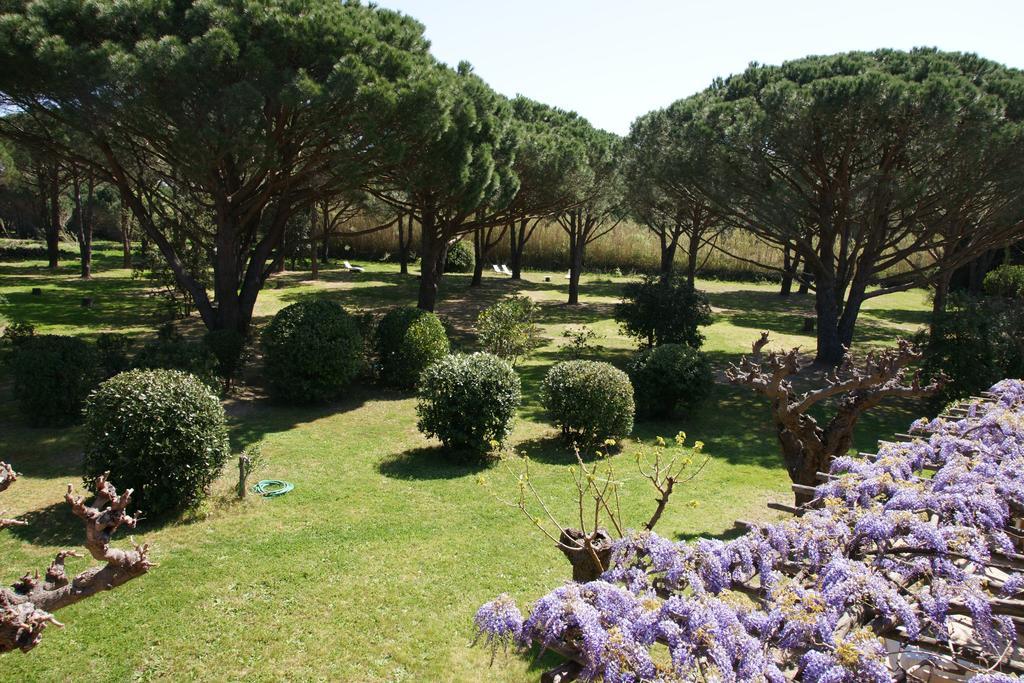 Lei Souco Bed and Breakfast Ramatuelle Buitenkant foto