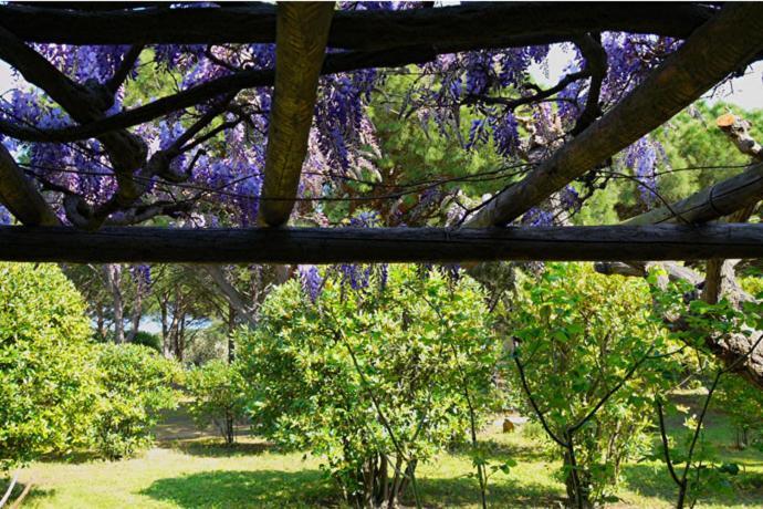 Lei Souco Bed and Breakfast Ramatuelle Buitenkant foto